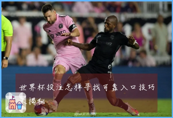 世界杯投注怎样寻找可靠入口技巧大揭秘