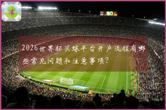 2026世界杯买球平台开户流程有哪些常见问题和注意事项？
