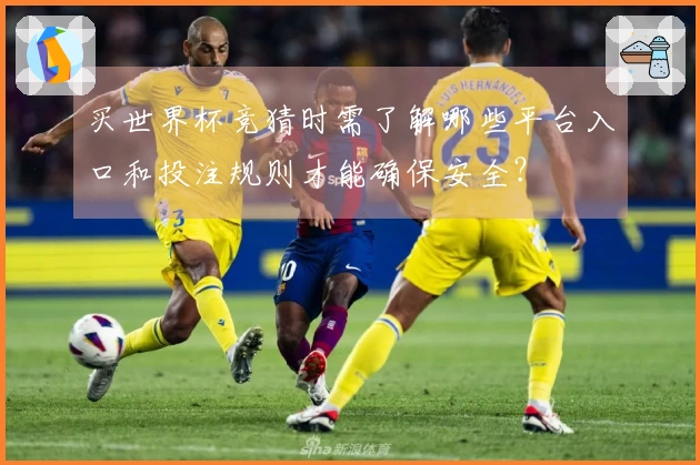 买世界杯竞猜时需了解哪些平台入口和投注规则才能确保安全？